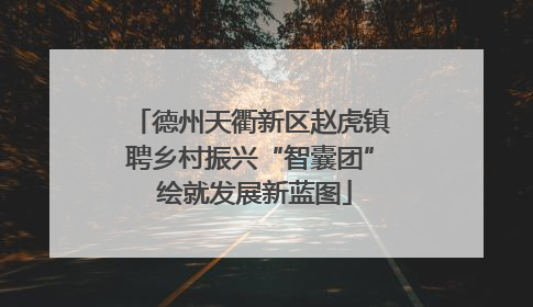 德州天衢新区赵虎镇聘乡村振兴“智囊团” 绘就发展新蓝图