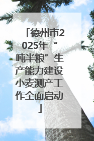 德州市2025年“吨半粮”生产能力建设小麦测产工作全面启动