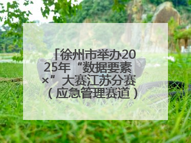 徐州市举办2025年“数据要素×”大赛江苏分赛（应急管理赛道）发布会