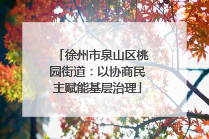 徐州市泉山区桃园街道：以协商民主赋能基层治理