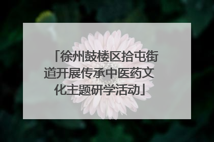 徐州鼓楼区拾屯街道开展传承中医药文化主题研学活动