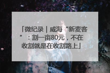 微纪录|威海“新麦客”:割一亩80元,不在收割就是在收割路上