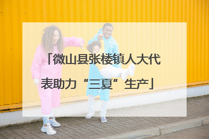 微山县张楼镇人大代表助力“三夏”生产