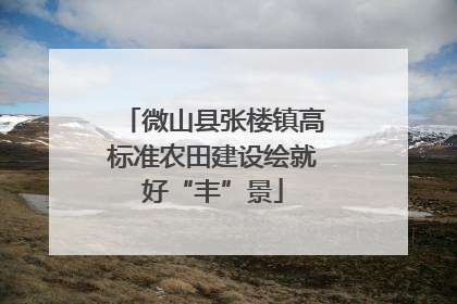 微山县张楼镇高标准农田建设绘就好“丰”景
