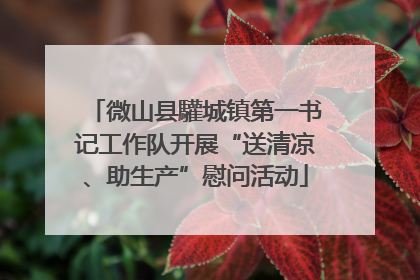 微山县驩城镇第一书记工作队开展“送清凉、助生产”慰问活动