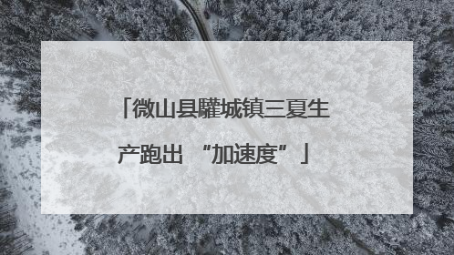 微山县驩城镇三夏生产跑出 “加速度”