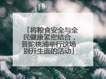 将粮食安全与全民健康紧密结合，普陀桃浦举行这场别开生面的活动