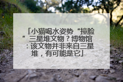 小猫喝水姿势“撞脸”三星堆文物？博物馆：该文物并非来自三星堆，有可能是它