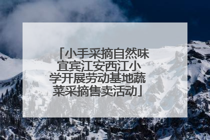 小手采摘自然味 宜宾江安西江小学开展劳动基地蔬菜采摘售卖活动