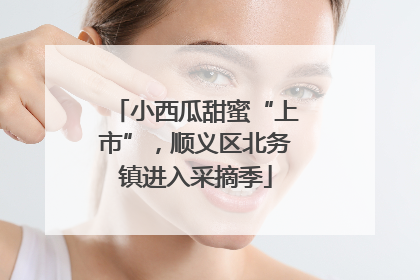小西瓜甜蜜“上市”，顺义区北务镇进入采摘季