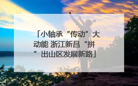小轴承“传动”大动能 浙江新昌“拼”出山区发展新路
