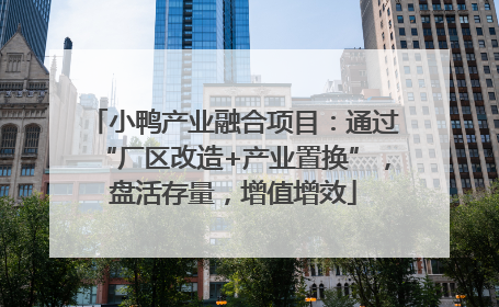 小鸭产业融合项目：通过“厂区改造+产业置换”，盘活存量，增值增效