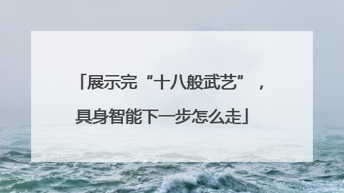 展示完“十八般武艺”，具身智能下一步怎么走