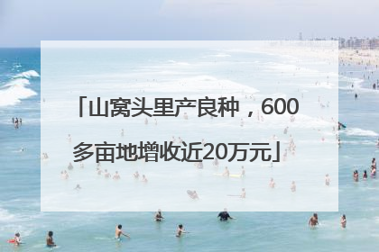 山窝头里产良种，600多亩地增收近20万元