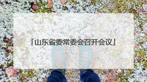 山东省委常委会召开会议