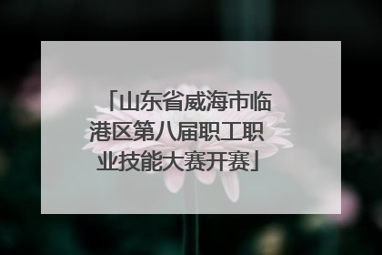 山东省威海市临港区第八届职工职业技能大赛开赛