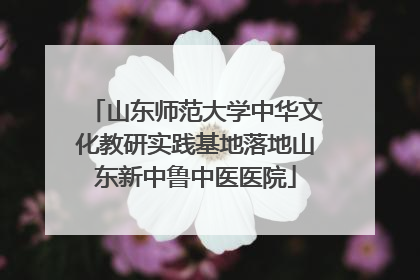 山东师范大学中华文化教研实践基地落地山东新中鲁中医医院