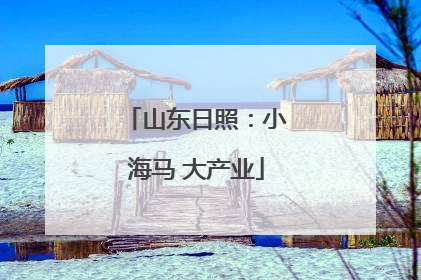 山东日照：小海马 大产业