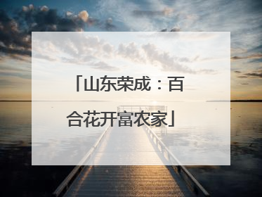 山东荣成：百合花开富农家