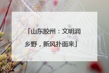 山东胶州：文明润乡野，新风扑面来