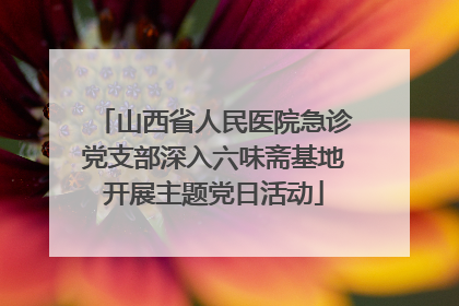 山西省人民医院急诊党支部深入六味斋基地开展主题党日活动