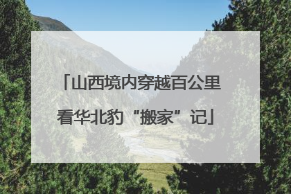 山西境内穿越百公里 看华北豹“搬家”记