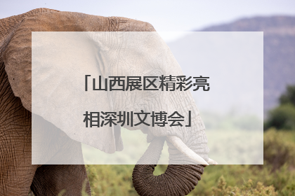 山西展区精彩亮相深圳文博会