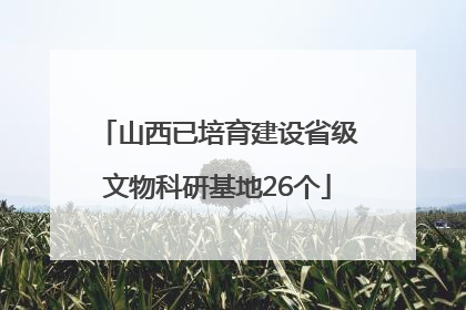 山西已培育建设省级文物科研基地26个