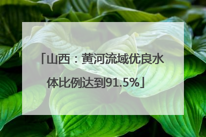 山西：黄河流域优良水体比例达到91.5%