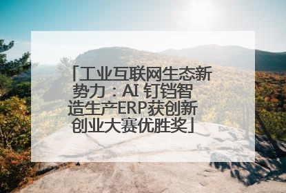 工业互联网生态新势力：AI 钉铛智造生产ERP获创新创业大赛优胜奖