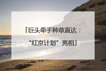 巨头牵手种草直达：“红京计划”亮相
