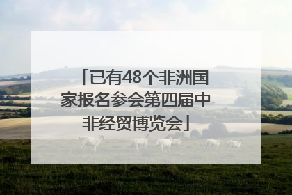 已有48个非洲国家报名参会第四届中非经贸博览会