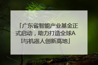 广东省智能产业基金正式启动，助力打造全球AI与机器人创新高地