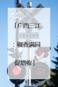 广西三江：椒香满园促增收