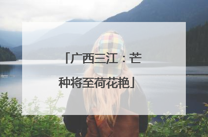 广西三江：芒种将至荷花艳