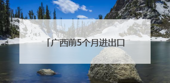 广西前5个月进出口3236.4亿元 同比增长14.8%