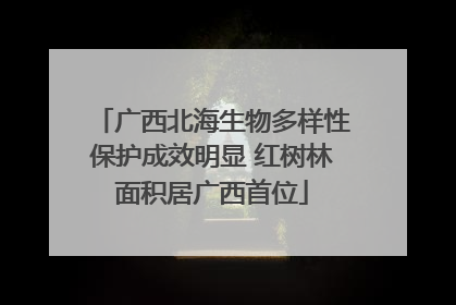 广西北海生物多样性保护成效明显 红树林面积居广西首位