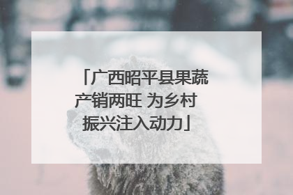 广西昭平县果蔬产销两旺 为乡村振兴注入动力