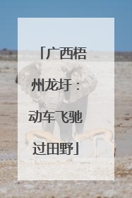 广西梧州龙圩：动车飞驰过田野