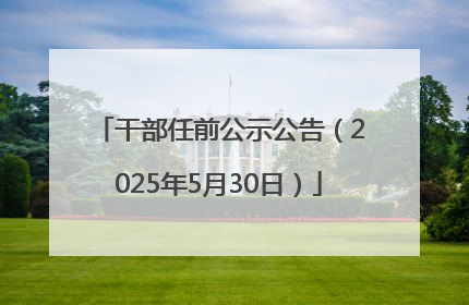 干部任前公示公告（2025年5月30日）