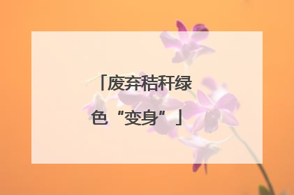废弃秸秆绿色“变身”