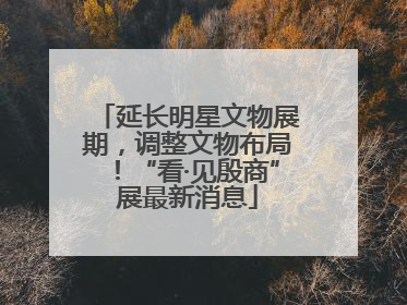 延长明星文物展期，调整文物布局！“看·见殷商”展最新消息