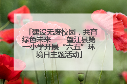 建设无废校园，共育绿色未来——望江县第一小学开展“六五”环境日主题活动