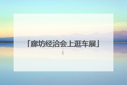 廊坊经洽会上逛车展