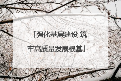 强化基层建设 筑牢高质量发展根基
