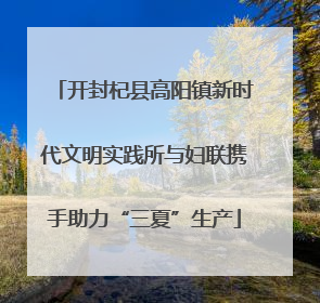开封杞县高阳镇新时代文明实践所与妇联携手助力“三夏”生产