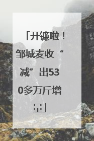 开镰啦！邹城麦收“减”出530多万斤增量