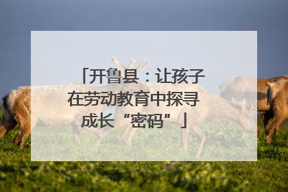 开鲁县：让孩子在劳动教育中探寻成长“密码”