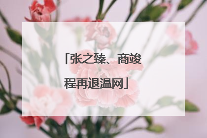 张之臻、商竣程再退温网