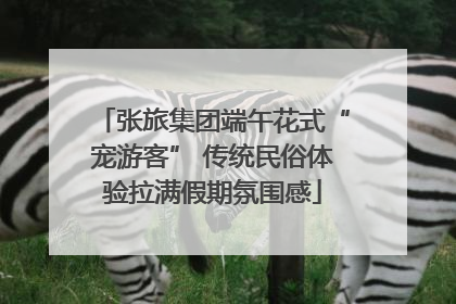 张旅集团端午花式“宠游客” 传统民俗体验拉满假期氛围感